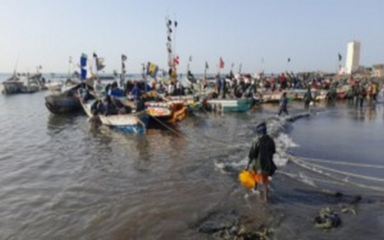Sénégal : A Rufisque et Bargny l’avancée de la mer et la raréfaction du poisson accentuent les phénomènes migratoires
