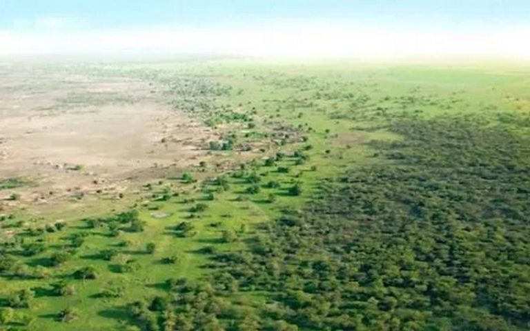 Soutien des premières facilités de financement vertes en Afrique : L’initiative de la Banque verte africaine injecte 1,6 million $