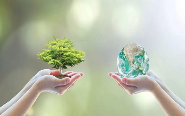 Amini lève 2 millions USD pour combler le déficit de données environnementales en Afrique