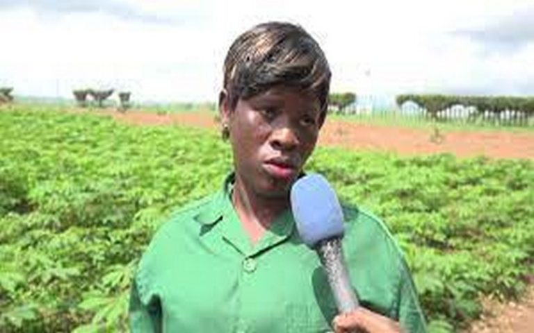 Côte d’Ivoire : La jeune diplômée Viviane Kakou encourage les jeunes filles à s’investir dans l’agriculture