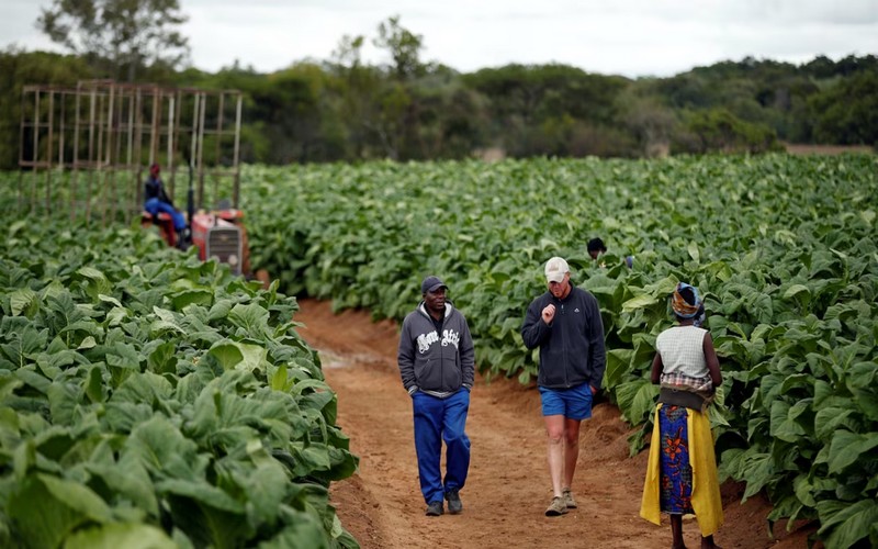 Indemnisation des fermiers blancs : La BAD disposée à aider le gouvernement zimbabwéen