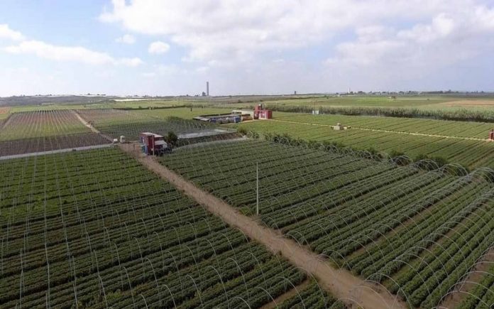 La BAD encourage la mise en place de mécanismes et d’instruments innovants facilitant la finance climatique en Afrique