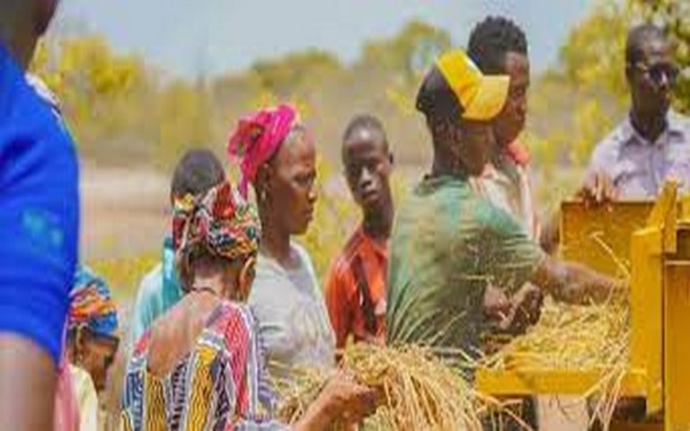 Le Sénégal à la quête de plus de 8 milliards de dollars pour atteindre sa souveraineté alimentaire, selon le ministre de l’Agriculture