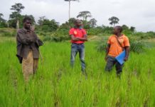 Le recyclage permet de réduire les coûts économiques et environnementaux de la production agricole, selon la FAO