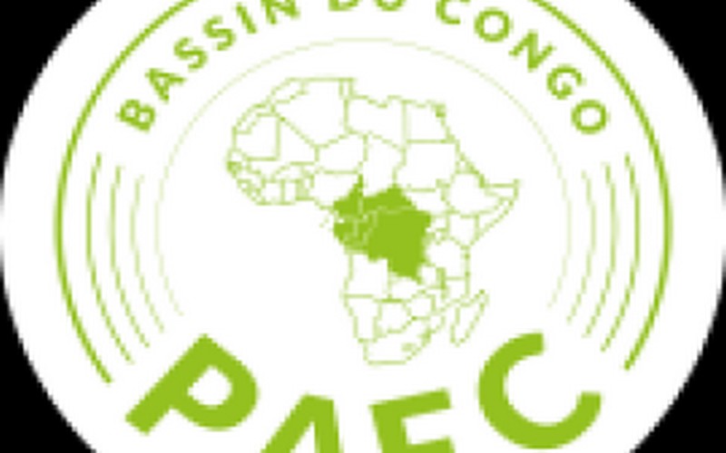PAFC Bassin du Congo : formation des auditeurs Chaîne de contrôle