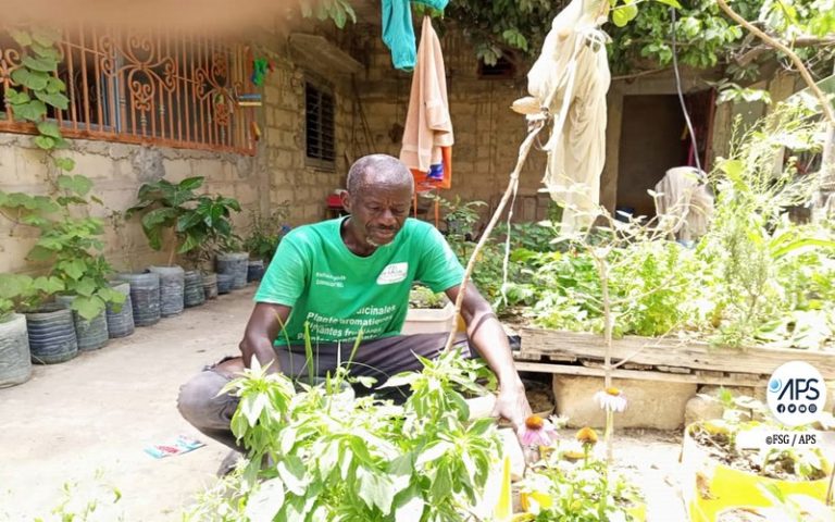 Sénégal : A Thiès, Abou Diop propose l’agroécologie urbaine pour remédier au rétrécissement des espaces agricoles