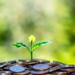 Finance climat : Le secteur financier africain doit jouer un rôle de catalyseur d’investissement et d’innovation