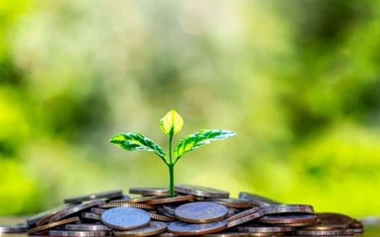 Finance climat : Le secteur financier africain doit jouer un rôle de catalyseur d’investissement et d’innovation