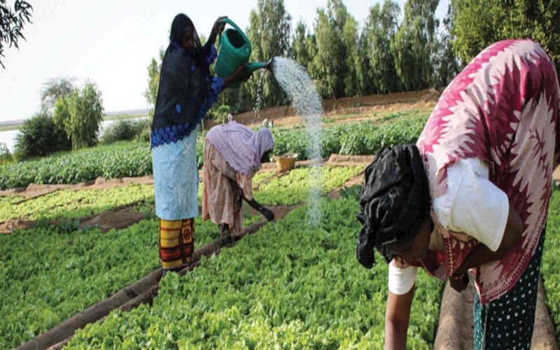 La BAD octroie un don de 1 million $ aux entreprises dirigées par des femmes au Sahel
