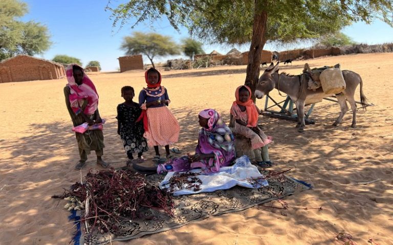 Près de 18 millions de personnes en proie à une insécurité alimentaire aiguë au Soudan, la FAO vivement préoccupée