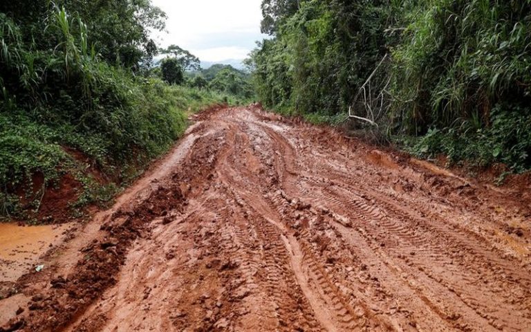 La République démocratique du Congo, championne du monde de la déforestation après le Brésil