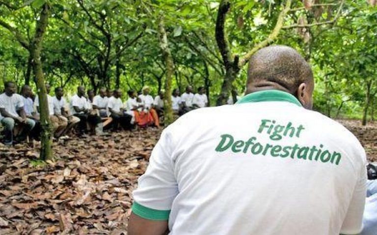 La culture du cacao a détruit 386 000 hectares de forêts protégées en 20 ans en Côte d&rsquo;Ivoire et au Ghana, selon un rapport