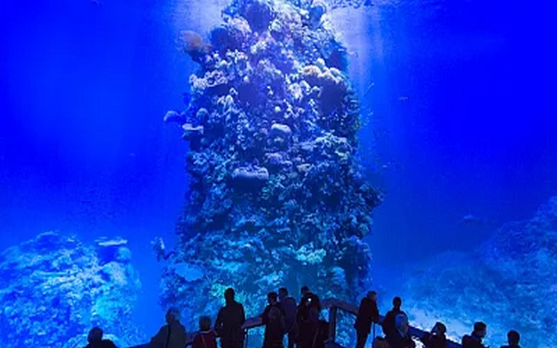 La lutte contre le réchauffement climatique, une priorité pour la santé des mers au menu de la Journée mondiale des océans