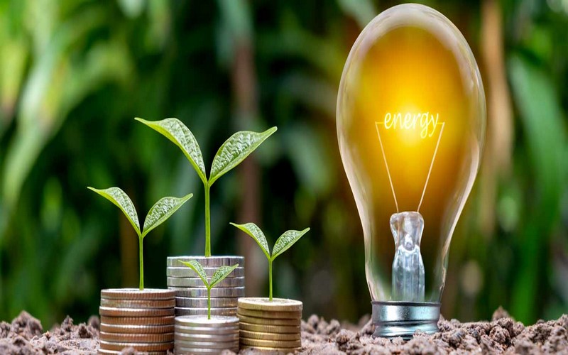 Le Bénin et la Côte d’Ivoire, premiers bénéficiaires de la Banque verte africaine de la BAD