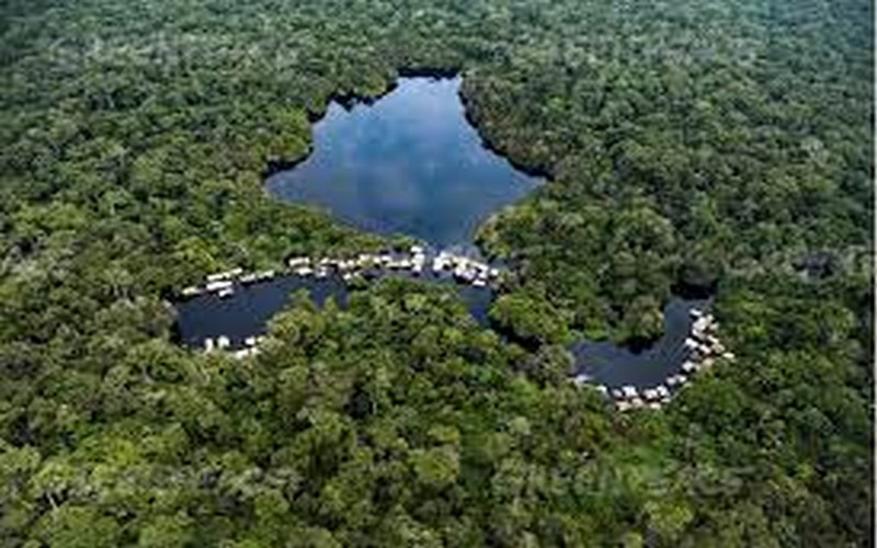 Le Cameroun envisage mettre en défens 400 000 hectares de terres, Greenpeace Afrique dénonce un réel problème environnemental et social