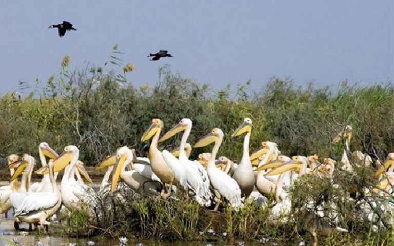 Le Sénégal appuyé par l’UICN dans la conservation de son patrimoine mondial en péril