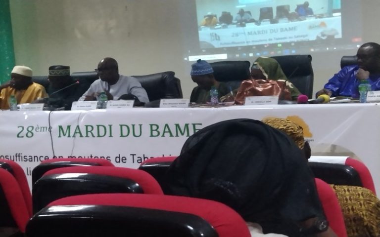 Le Sénégal dispose plus de 270 000 hectares de terre cultivable, révèle Abou Kane