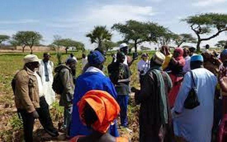 Le Sénégal lance la phase 2 du Projet de renforcement des capacités des petits exploitants