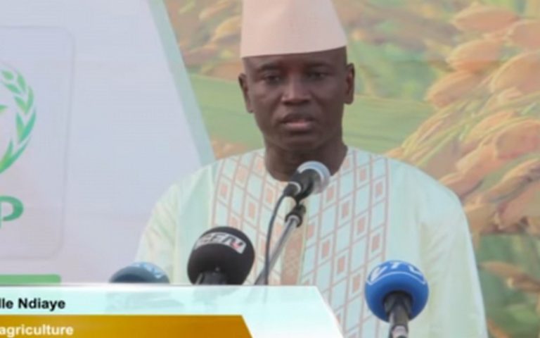 Le Sénégal modifie la loi agrosylvopastorale pour contrôler la transhumance transfrontalière des animaux