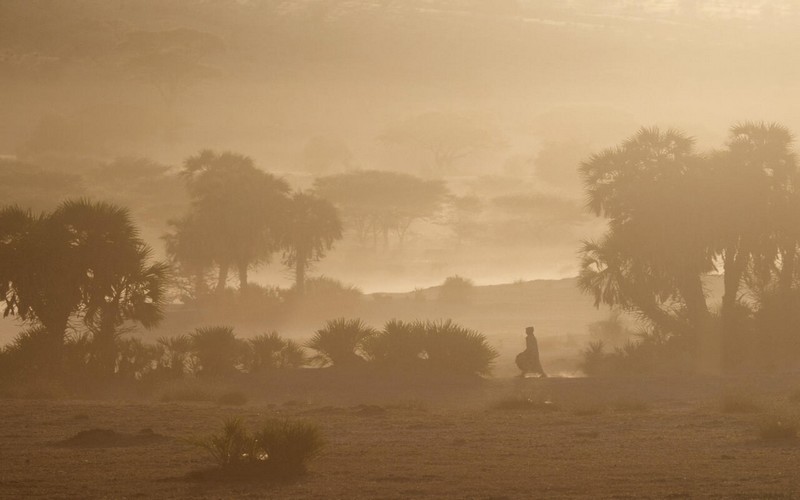 Les droits des femmes et des autochtones au cœur des solutions contre la désertification