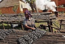 Les habitants du nord de l’Ouganda luttent contre la combustion du charbon de bois
