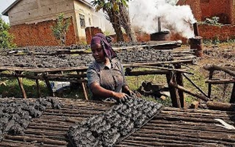 Les habitants du nord de l’Ouganda luttent contre la combustion du charbon de bois