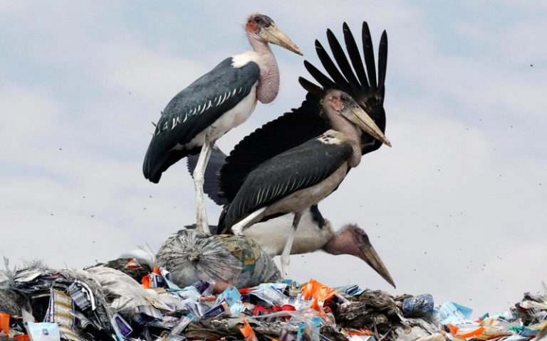 Lutte contre le plastique : L&rsquo;Afrique plaide pour un fonds d&rsquo;aide et plus d&rsquo;audace
