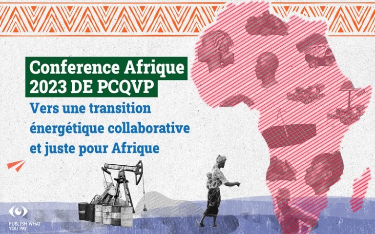 Papa Fara Diallo plaide pour une transition énergétique « juste et équitable » en Afrique