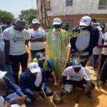Reboisement, journée scientifique et diffusion du PAAEDC : Dakar (Sénégal) s’active dans la lutte contre le changement climatique
