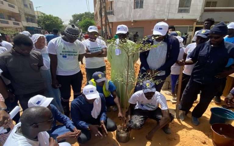 Reboisement, journée scientifique et diffusion du PAAEDC : Dakar (Sénégal) s’active dans la lutte contre le changement climatique