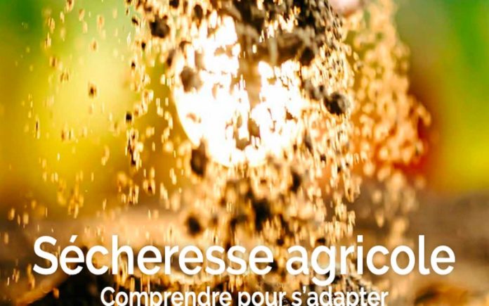 Sécheresse agricole comprendre pour s’adapter