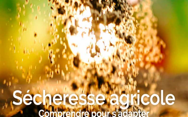 Sécheresse agricole : comprendre pour s’adapter