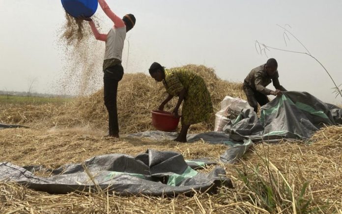 Transformation de l’agriculture 17 pays d'Afrique de l'Ouest et du Sahel adoptent la « Déclaration de Lomé sur les engrais et l