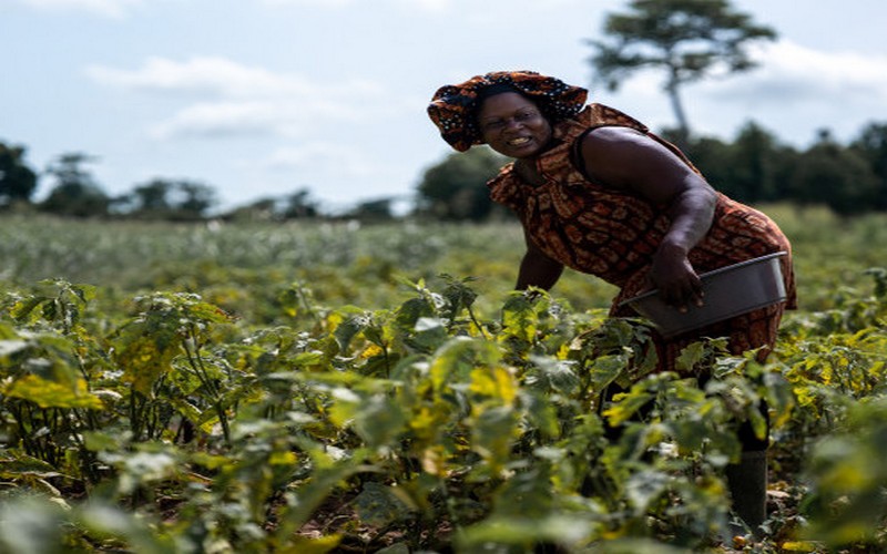 Côte d’Ivoire : garantie partielle de crédit de 400 millions d’euros de la BAD pour l’aider à mobiliser un emprunt durable