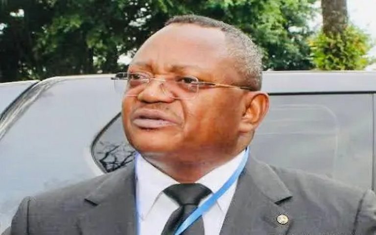 La RDC finalise le projet d’appui à la lutte contre la déforestation