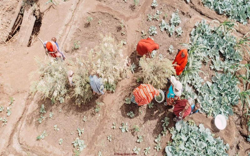 Le groupe AFD sélectionne cinq projets emblématiques pour la restauration de la nature