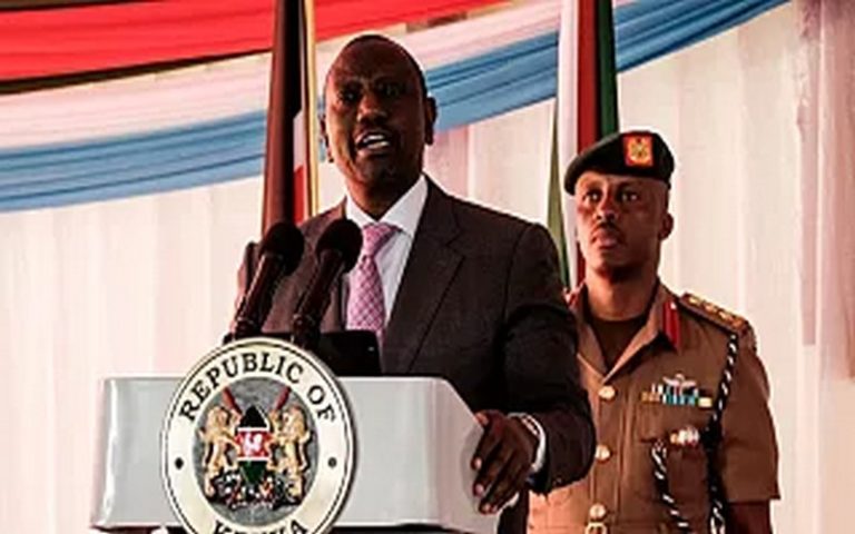 Le président du Kenya lève l&rsquo;interdiction sur l&rsquo;exploitation forestière, Greenpeace alerte sur les « conséquences catastrophiques »