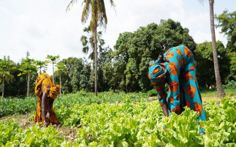 Le projet INFoCAT, innover pour des technologies agricoles propres, sera officiellement lancé les 25 et 26 juillet 2023 au Sénégal