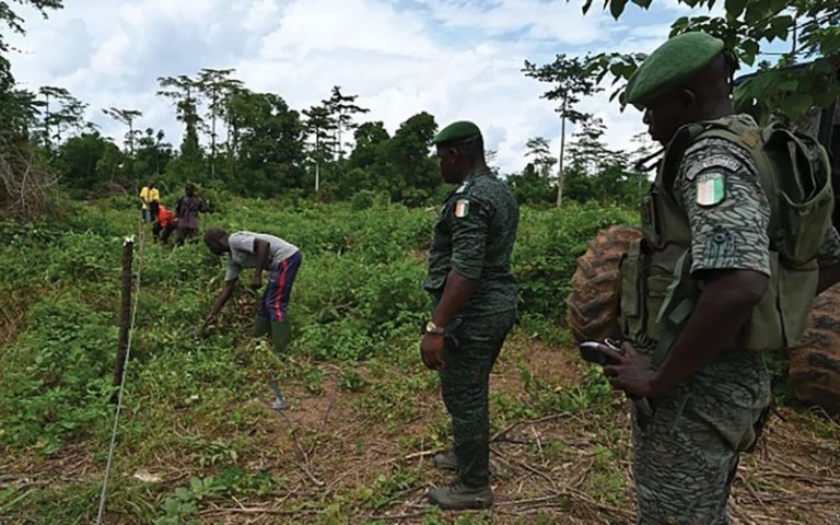 Lutte contre la déforestation : La Côte d’Ivoire vise à tripler sa superficie forestière d’ici à 2030