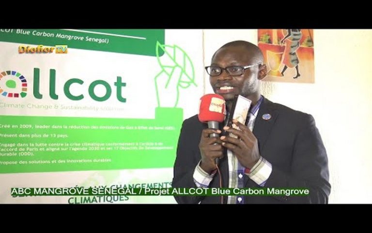 Sénégal : Vers le reboisement de 2 000 hectares de mangrove dans le Saloum et en Casamance