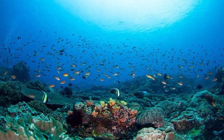 Un échange dette-nature d’une valeur de 450 millions $ lancé au Gabon