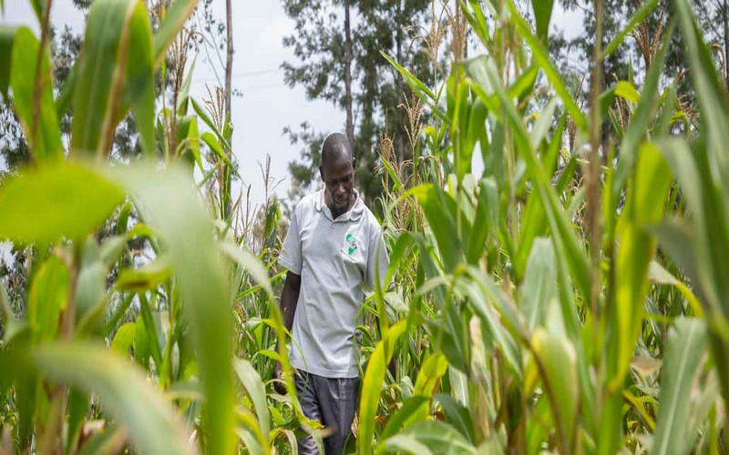 La BAD projette la production agricole de l’Afrique à 1 000 milliards USD par an d’ici à 2030
