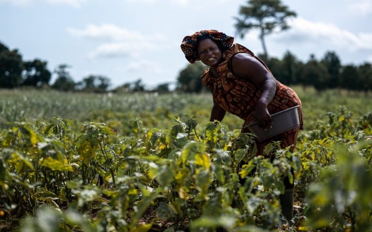 La BAD va renforcer le développement des infrastructures et des chaînes de valeur industrielles et agricoles en Côte d’Ivoire
