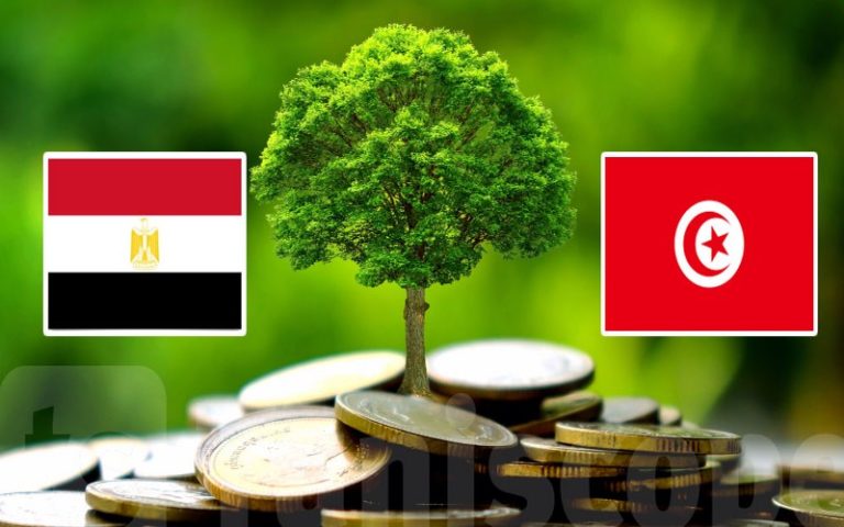 La Tunisie et l’Egypte reçoivent un flux relativement plus important en Afrique du nord, selon la BAD