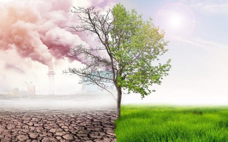 Sénégal : Un projet de réduction de la vulnérabilité aux changements climatiques lancé à Kolda
