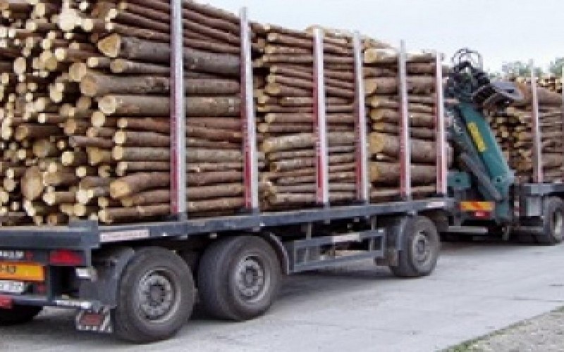 Mali : 124 camions de bois bloqués pendant des mois à Kidira, finalement libérés