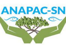 Sénégal – Protection de la biodiversité : L’ANAPAC milite pour la promotion des méthodes traditionnelles