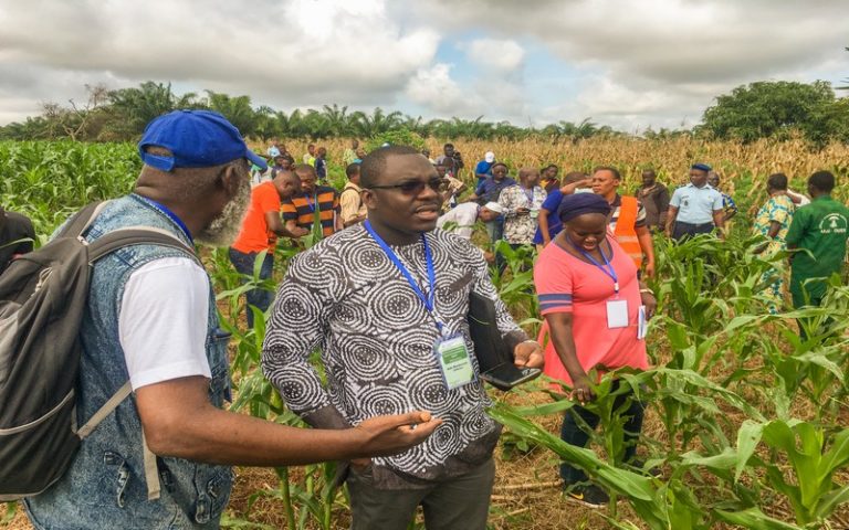Protection des végétaux : La FAO et ses partenaires visitent des champs au Bénin