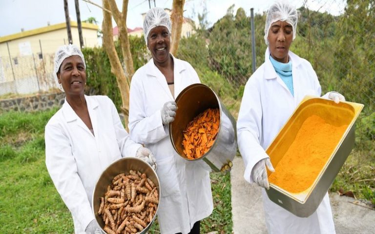 Transformation de la production alimentaire : Le gouvernement nigérian mobilise 500 millions de dollars