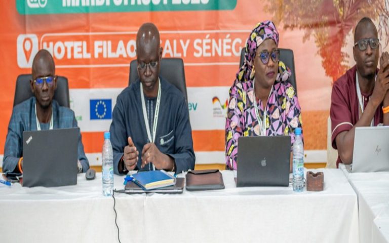 Transition énergétique et agriculture durable : Vers un Sénégal résilient face au changement climatique